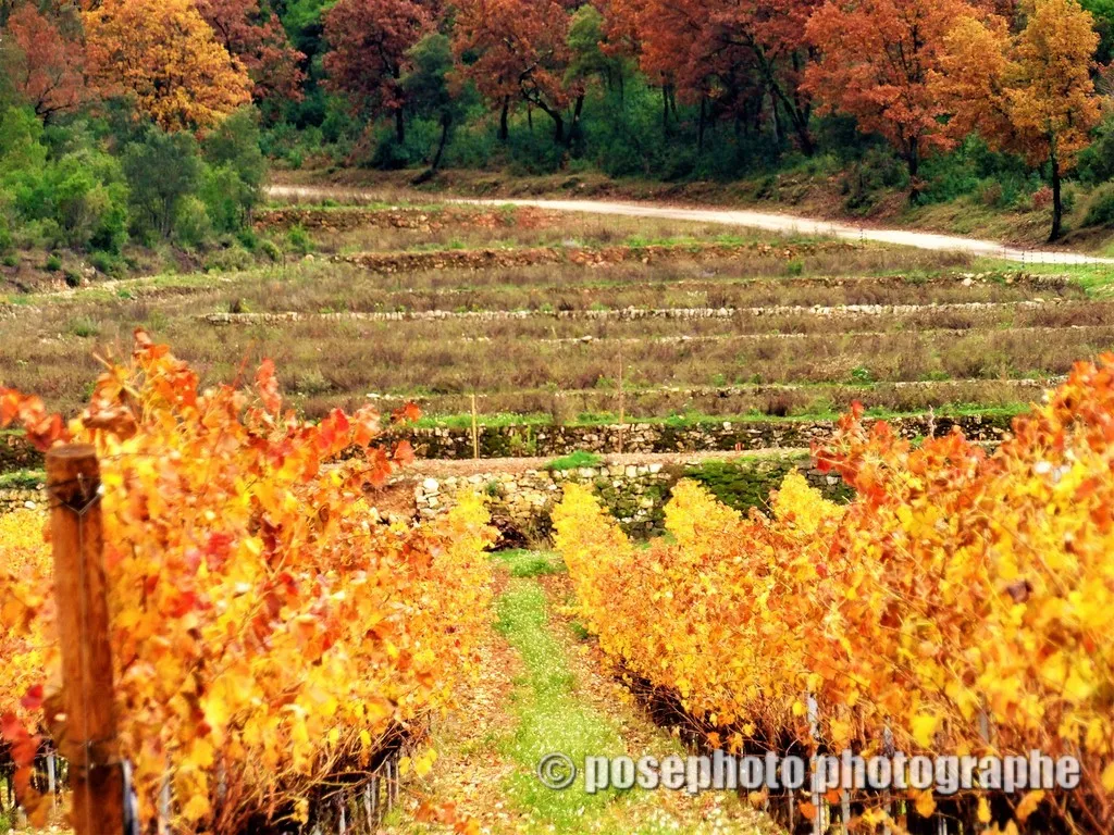 automne var