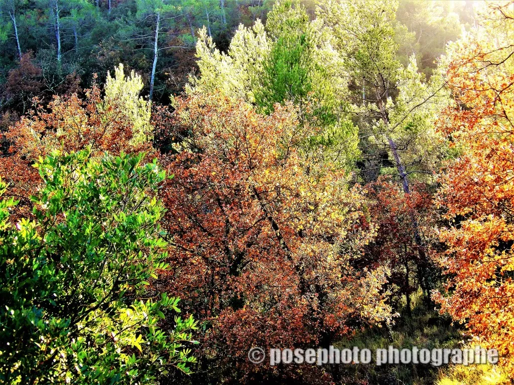 automne var