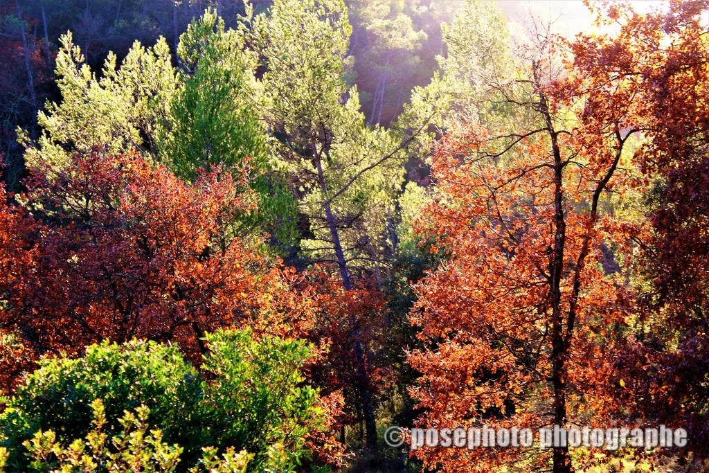 automne var