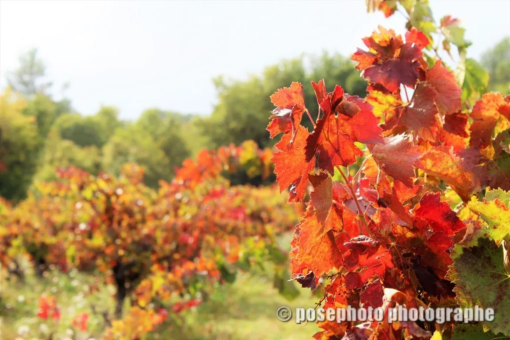 automne var