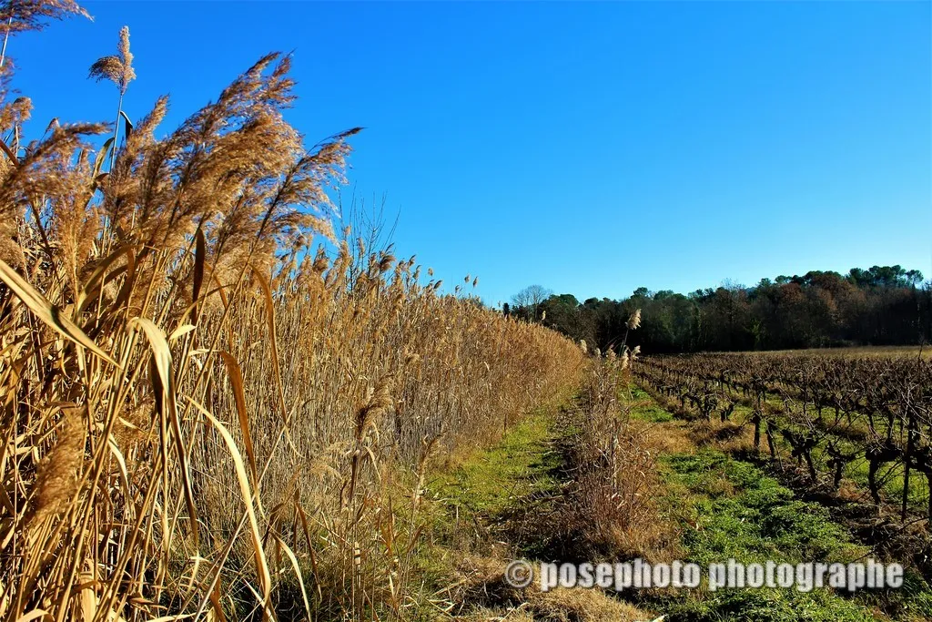 automne var