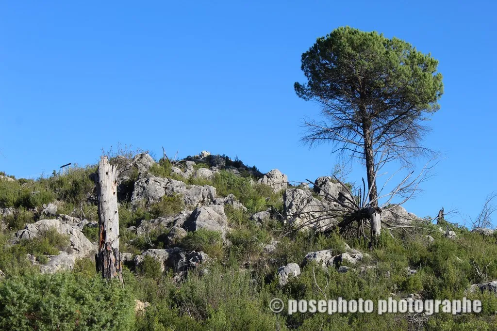 nature var