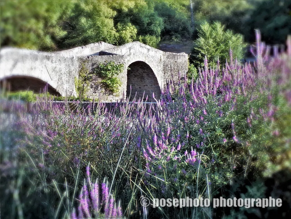 paysage var