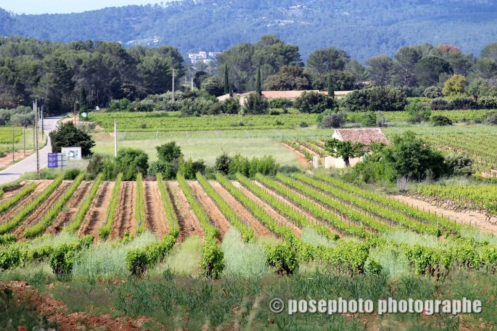 paysage var