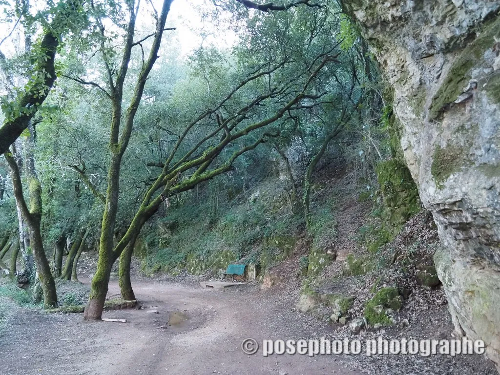 nature var