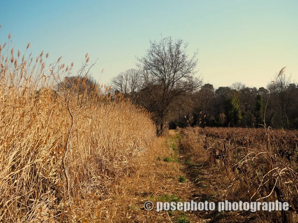 automne var