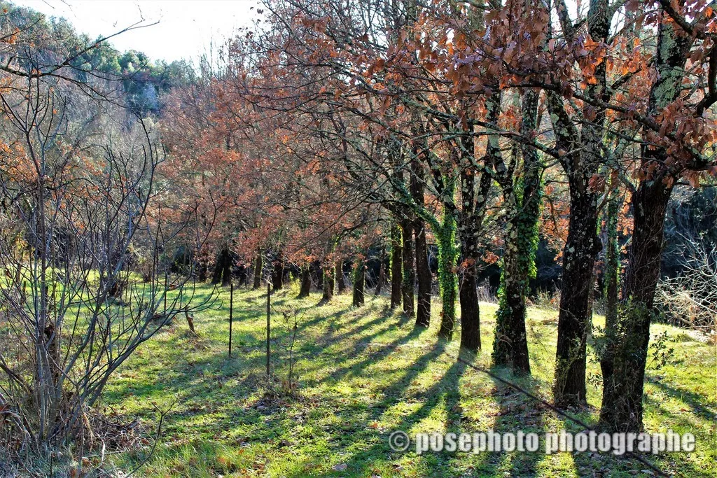 paysage var