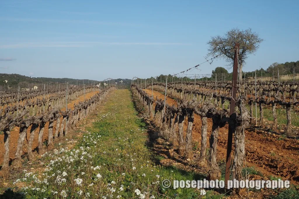 paysage var