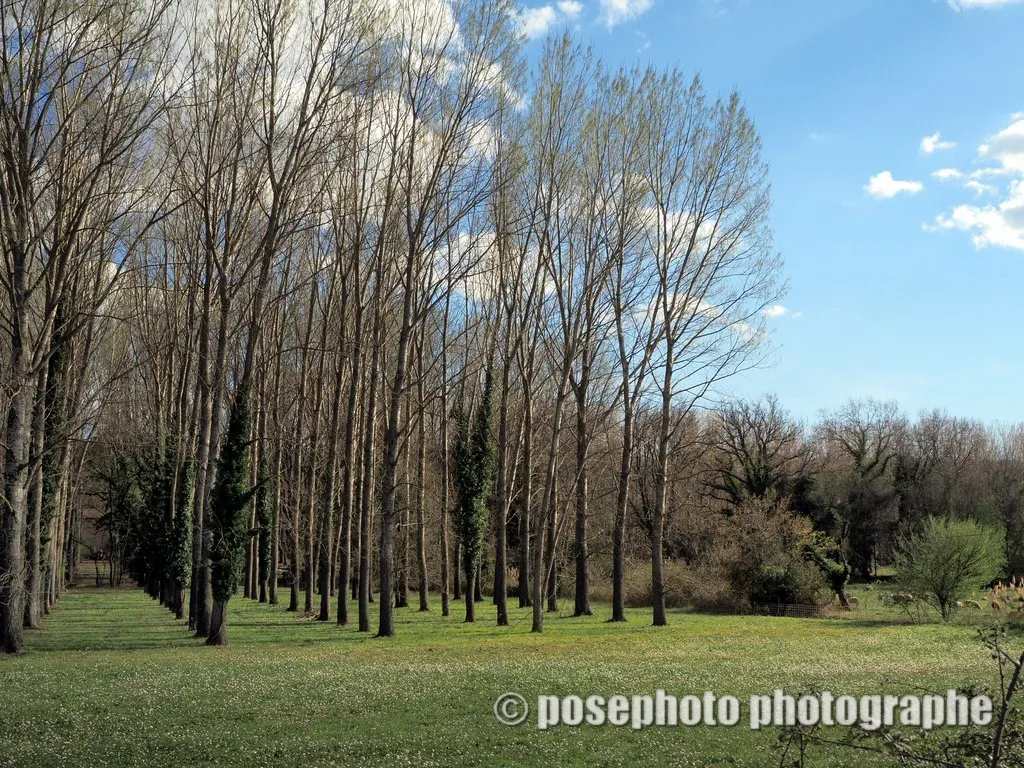paysage var