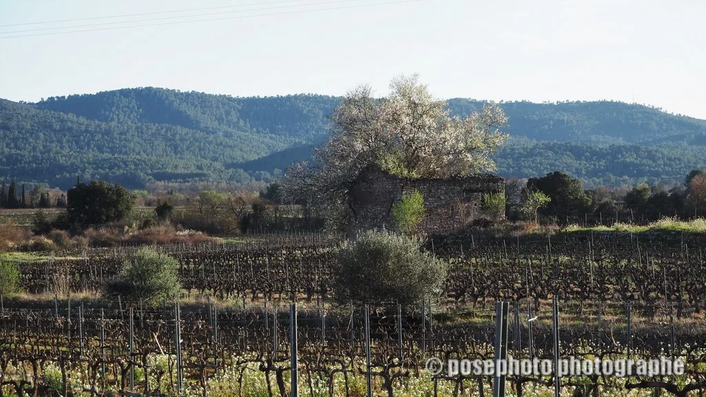 paysage var