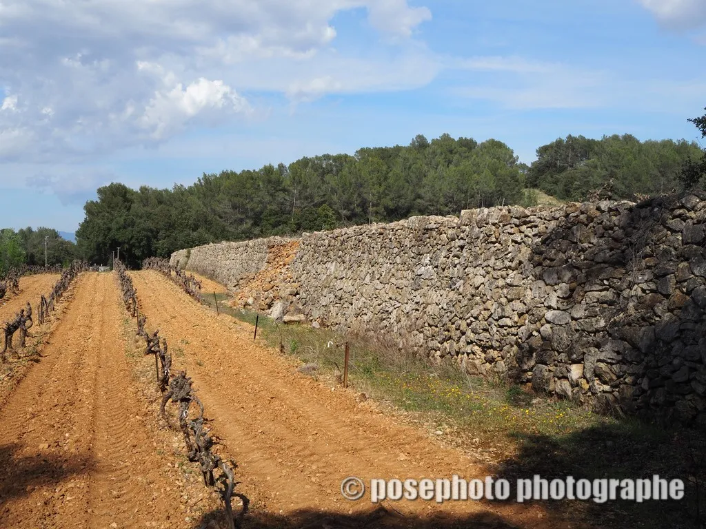 nature var