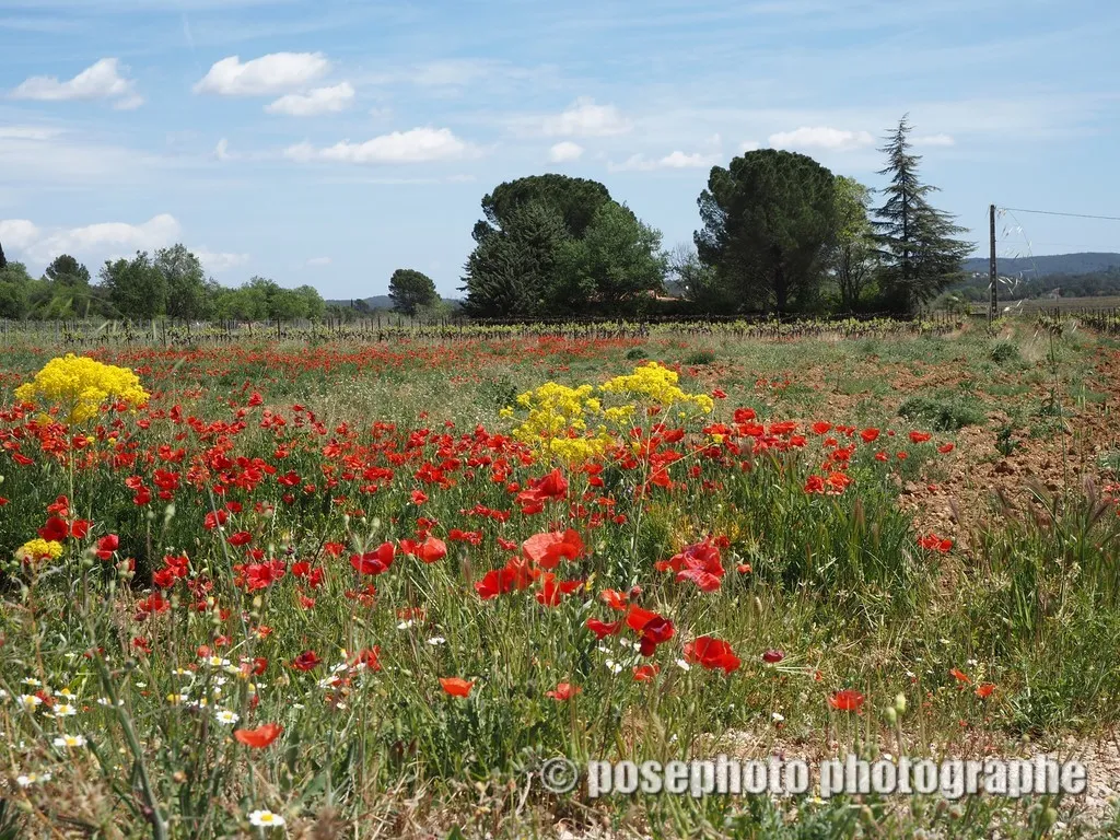 paysage var