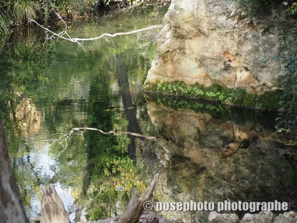 nature var